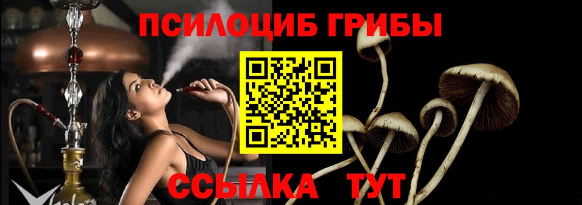 Псилоцибиновые грибы мухоморы  Галлюциногенные грибы мицелий  Сальск  Вход с VPN 